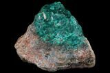 Dioptase, Shattuckite & Calcite Association - Tantara Mine, Congo #146748-1